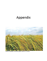 Malting Industry Analysis Report Appendix